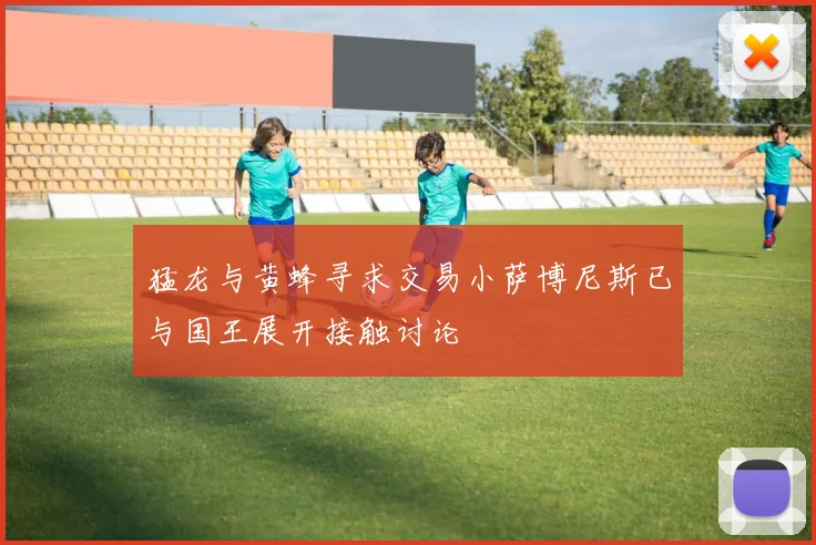 猛龙与黄蜂寻求交易小萨博尼斯已与国王展开接触讨论