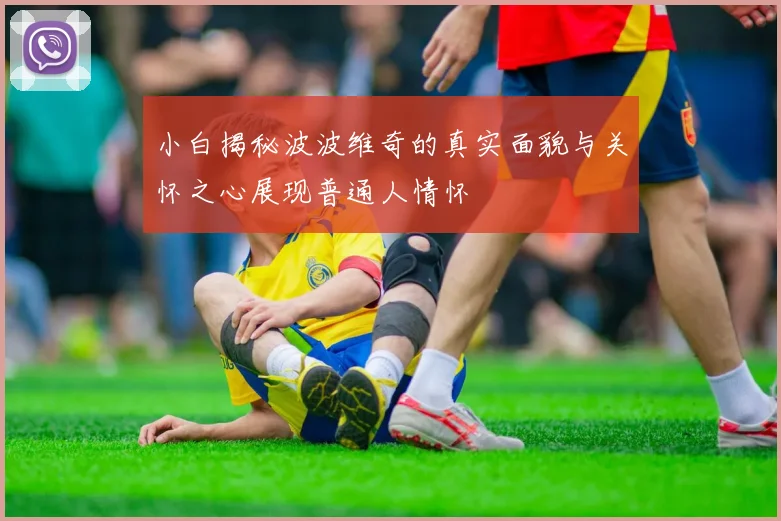 小白揭秘波波维奇的真实面貌与关怀之心展现普通人情怀